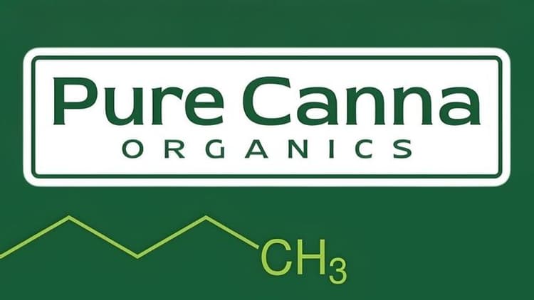 "Pure Canna Organics logo, representing the brand's commitment to transparency, innovation, and high-quality CBD products for wellness."