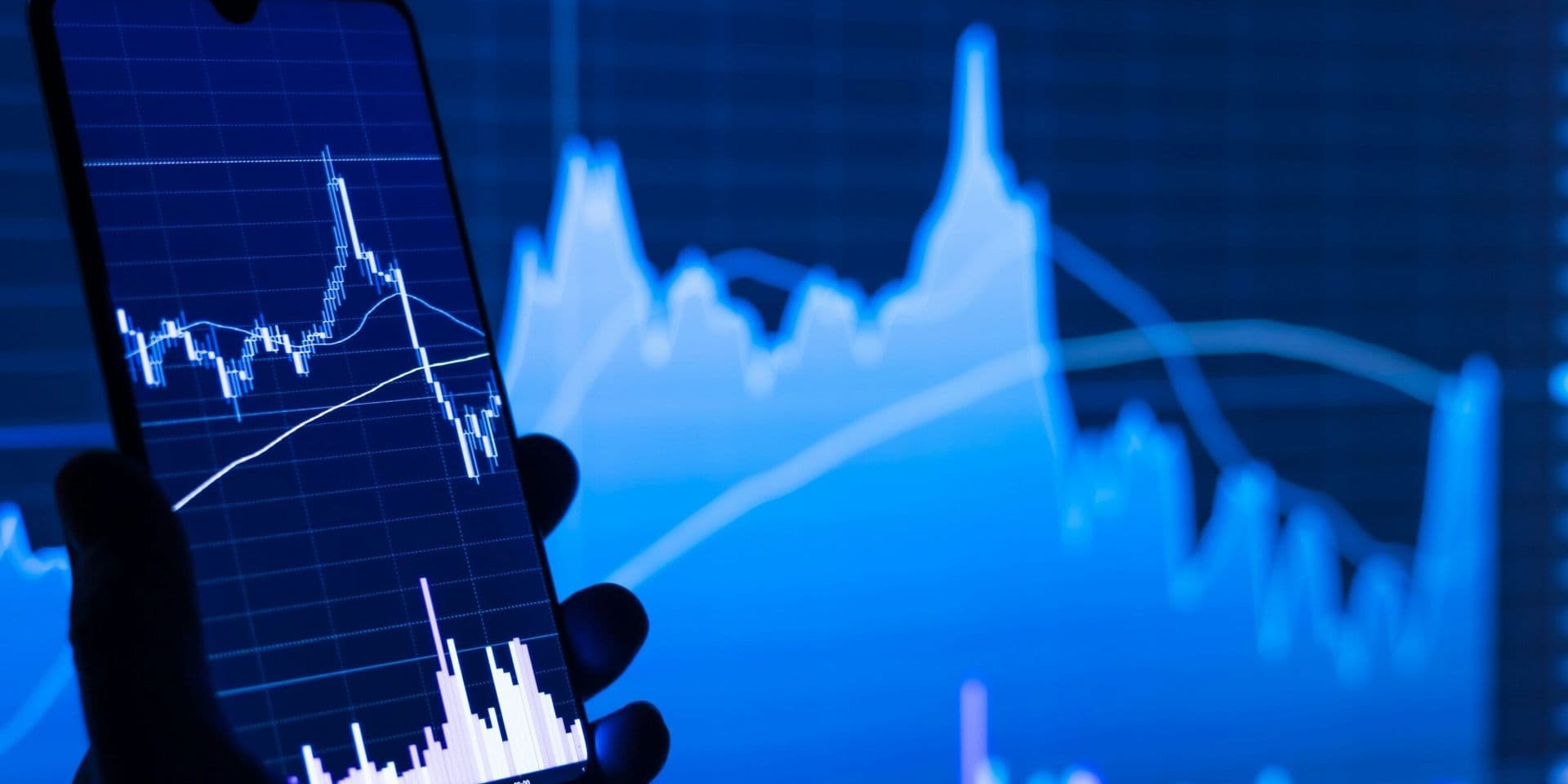 Realtors’ Insights on Market Trends