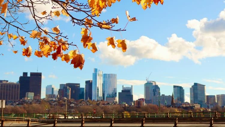 New York Real Estate Market Shows Signs of Fall Season Activity