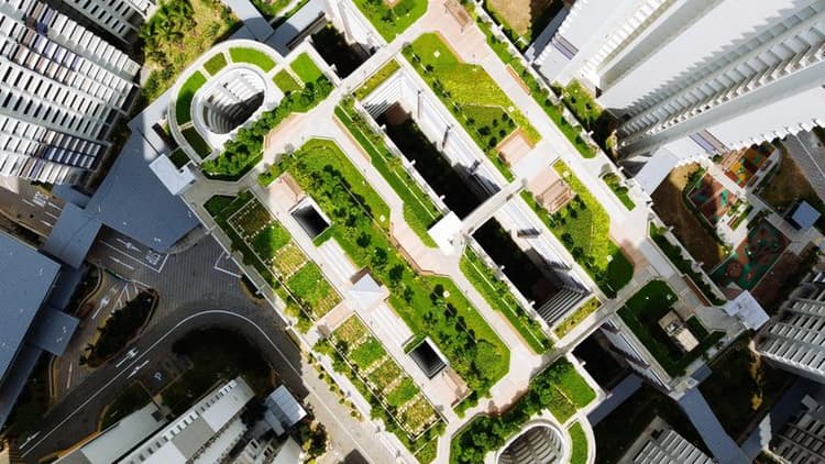 Navigating the Evolving Real Estate Landscape in 2025