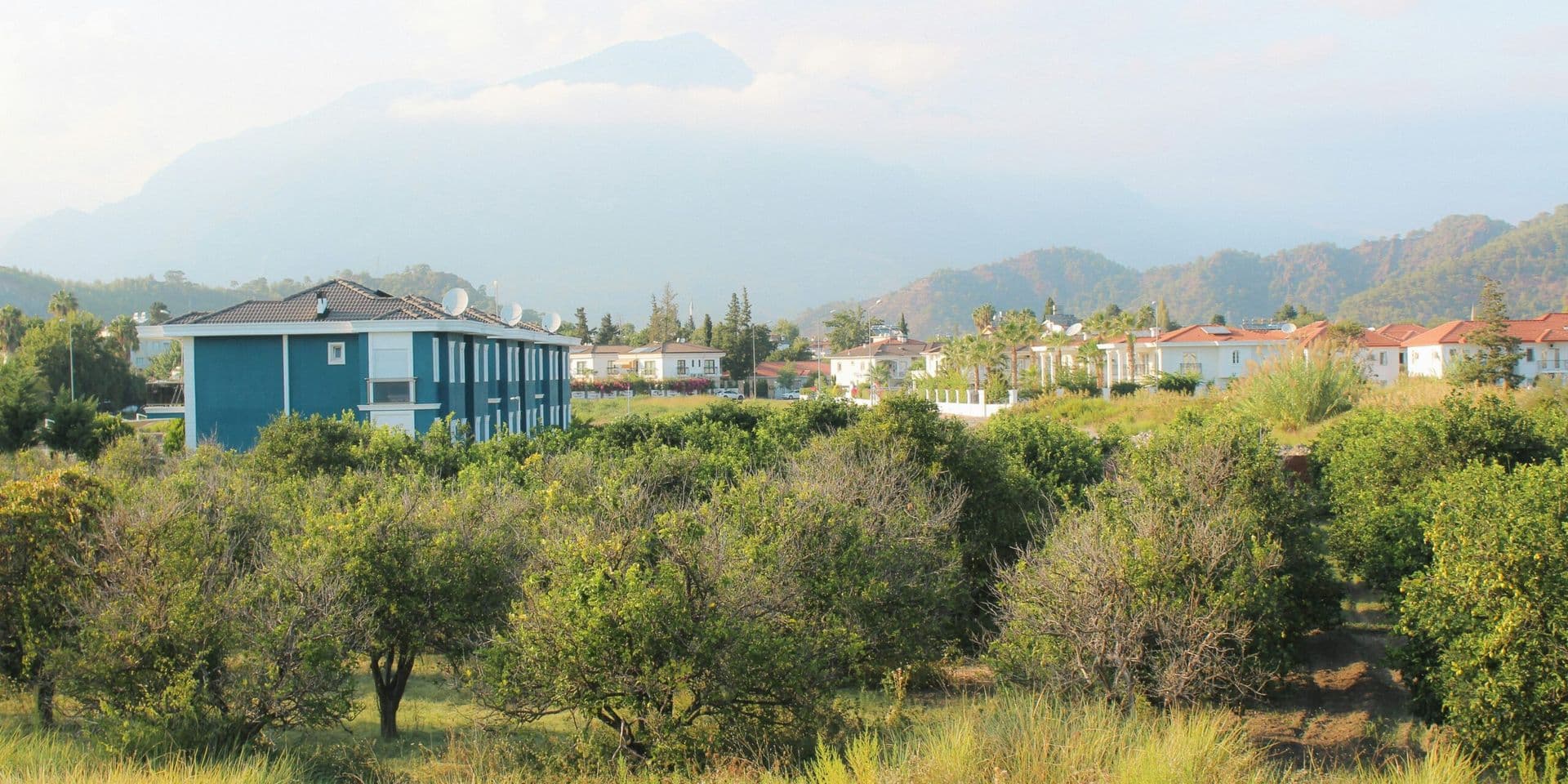 SCAN Health Plan Expands Operations with Acquisition of Office Property in Cerritos