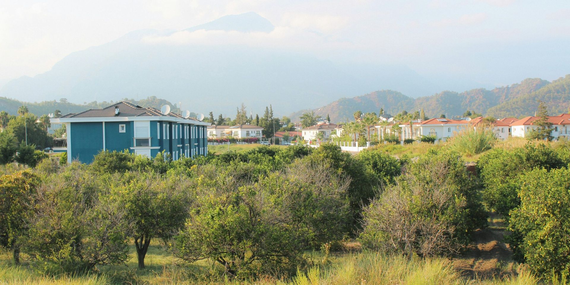 SCAN Health Plan Expands Operations with Acquisition of Office Property in Cerritos