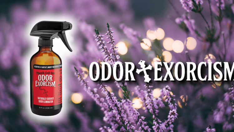 Odor Exorcism all-natural odor eliminator in sustainable glass packaging, offering a chemical-free, eco-friendly solution for freshening homes with essential oils and plant-based ingredients.