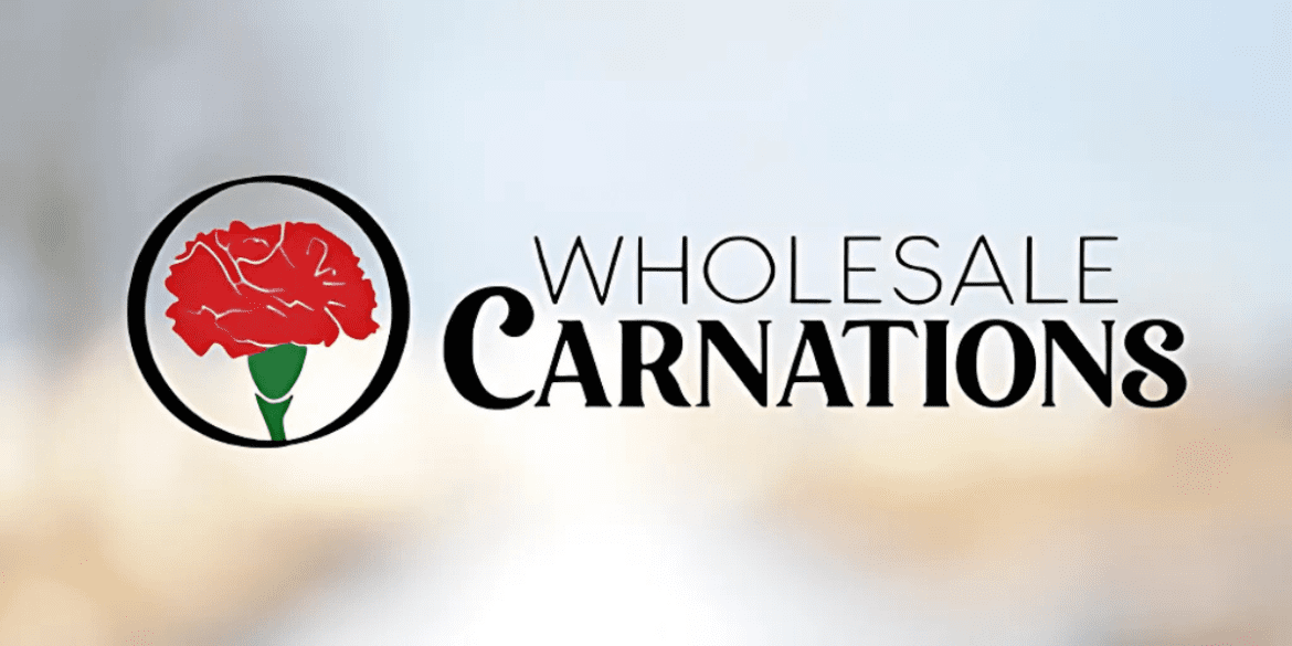 Dnna standard image ( 1200 x 600 ) 2025 04 13t004943.765